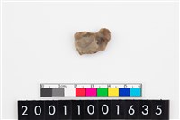 藏品(刮削器)的圖片