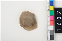 藏品(燧石)的圖片