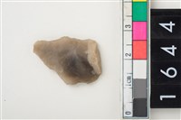 藏品(燧石)的圖片