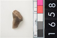 藏品(燧石)的圖片