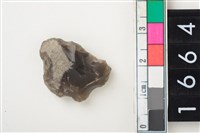 藏品(燧石)的圖片