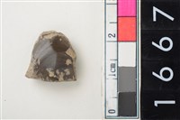 藏品(燧石)的圖片