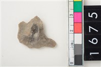 藏品(燧石)的圖片