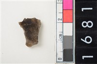 藏品(燧石)的圖片