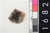 藏品(燧石)的圖片