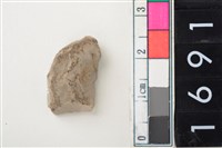 藏品(燧石)的圖片