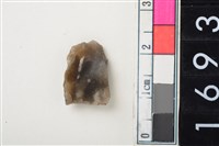 藏品(燧石)的圖片