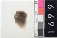 藏品(燧石)的圖片