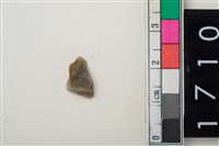 藏品(燧石)的圖片