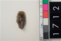 藏品(燧石)的圖片