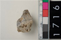 藏品(燧石)的圖片