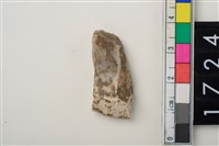 藏品(燧石)的圖片