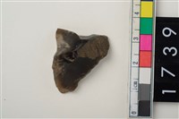 藏品(燧石)的圖片