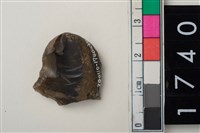 藏品(燧石)的圖片