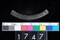 藏品(石環殘件)的圖片