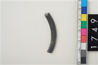 藏品(石環殘件)的圖片