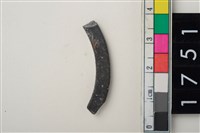 藏品(石環殘件)的圖片