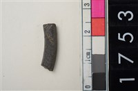 藏品(石環殘件)的圖片