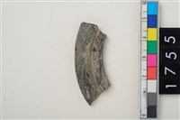 藏品(石環廢料)的圖片