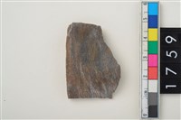 藏品(石環殘件)的圖片