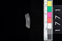 藏品(石環殘件)的圖片