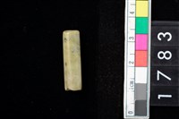 藏品(玉管珠)的圖片