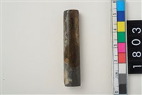 藏品(骨管)的圖片