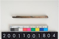 藏品(骨管)的圖片