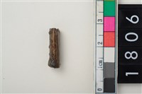 藏品(骨管珠)的圖片