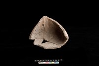 藏品(陶罐)的圖片