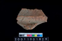 藏品(繩紋罐口)的圖片