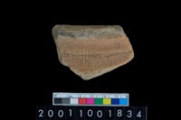 藏品(繩紋頸折)的圖片