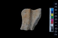 藏品(繩紋頸折)的圖片