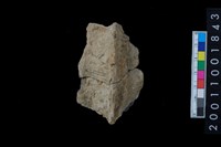 藏品(繩紋頸折)的圖片