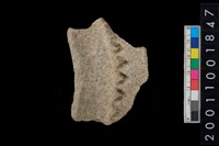 藏品(繩紋罐口)的圖片