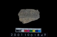 藏品(帶紋口緣)的圖片