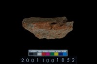 藏品(帶紋頸折)的圖片