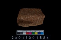 藏品(口緣)的圖片