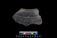 藏品(繩紋罐口)的圖片