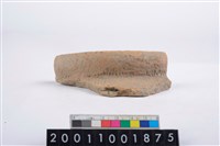 藏品(繩紋口緣)的圖片