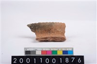 藏品(繩紋口緣)的圖片