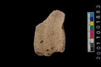 藏品(罐口緣)的圖片