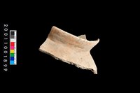 藏品(口緣)的圖片