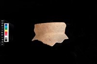 藏品(口緣)的圖片