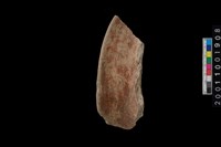 藏品(罐口緣)的圖片