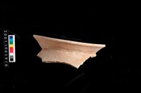 藏品(口緣)的圖片