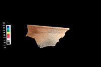 藏品(口緣)的圖片