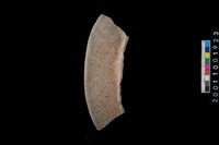 藏品(繩紋罐口)的圖片