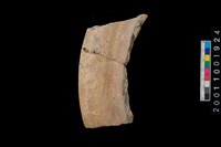 藏品(罐口緣)的圖片