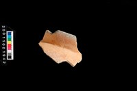 藏品(口緣)的圖片